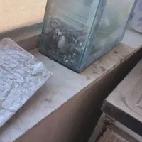 آکواریوم|لوازم جانبی حیوانات|محمدیه-قزوین, |دیوار