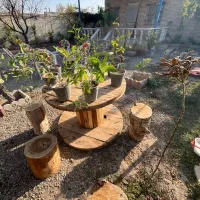 باغ ویلا استخر داراجاره ای باآب گرم|اجارهٔ کوتاه‌مدت ویلا و باغ|پیشوا, |دیوار