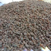 کشمش آفتابی تمیز بدون هیچگونه آشغال|خوردنی و آشامیدنی|بروجرد, |دیوار