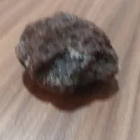 سنگ قیمتی|کلکسیون اشیاء عتیقه|قزوین, |دیوار