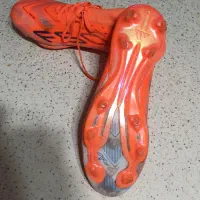 استوک f50|کیف، کفش، کمربند|رشت, پاستوریزه|دیوار