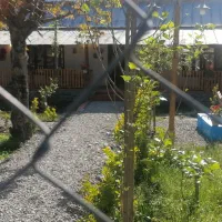 باغبان و سرایداری