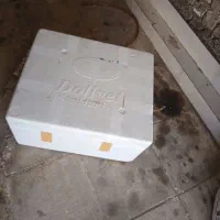 یخدان یونلتی