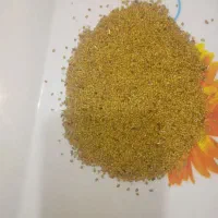 بذر یونجه