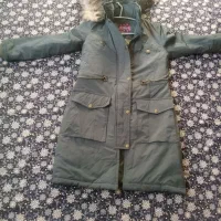 پالتو سایز یک نو