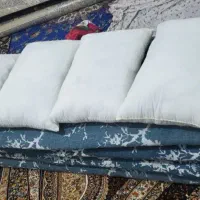 توشک و ب ا ل ش ت