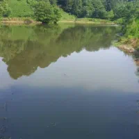 زمین-طرح-هادی-628-متری-لاهیجان