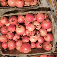 انار عقدا|خوردنی و آشامیدنی|عقدا, |دیوار