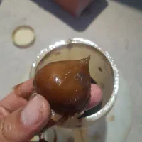 سرکه سیب،آبلیمو،آبغوره|خوردنی و آشامیدنی|گرگان, |دیوار