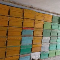 کندوزنبورتمیز