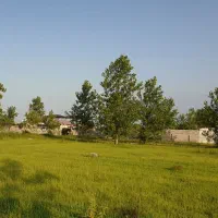 فروش یک قطعه زمین ساحلی 243 متری|فروش زمین و ملک کلنگی|چاف و چمخاله, |دیوار