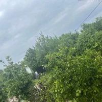 سوییت در اندیکا(ناصرخسرو)