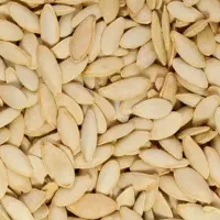 تخمه کدو ریز