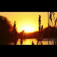 فیلم سینمایی و مجموعه