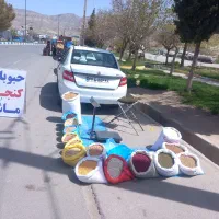 حبوبات کنجد سفید اعلا نخود لپه لوبیا قرمز  سفید