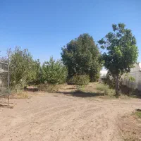 سرایداری نگهبانی