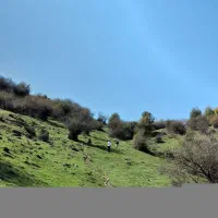 زمین دو قطعه