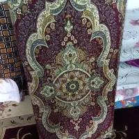 6عدد پشتی