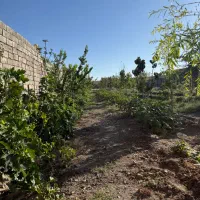 باغ دور دیوار در بهترین  مکان آب و هوا تربت صنوبر|فروش خانه و ویلا|تربت‌حیدریه, شهرک ولیعصر|دیوار