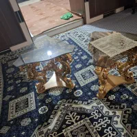 جلو مبلی و میز عسلی فوری|مبلمان خانگی و میز عسلی|هشتگرد, ینگی امام|دیوار