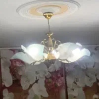 لوستر دوعدد