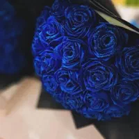 گل های روبانی