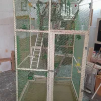 قفس بزرگ پرندگان