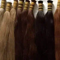 مرکز اصلی مو