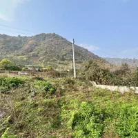 ۴۵۱متر زمین صنعتی بر جاده اصلی شهر لیسار|فروش زمین و ملک کلنگی|لیسار, |دیوار