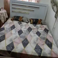تک دو نفره باتشک