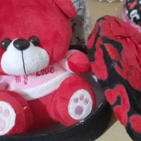 پک ولنتاین|کیف، کفش، کمربند|اصفهان, کوی امیریه|دیوار