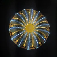 لوستر ،چراغ دست ساز ، چراغ ،مغازه