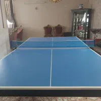 میز پینگ پنگ تاشو المپیک