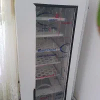 دستگاه جوجه