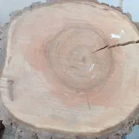 چوب گردو ایرانی|صنایع دستی و سایر لوازم تزئینی|پاکدشت, پاکدشت (مامازند)|دیوار