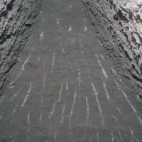 چاه کن|خدمات باغبانی و درختکاری|قوچان, |دیوار