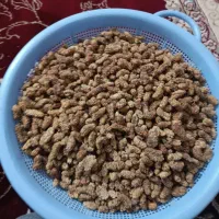توت خشک آفتابی