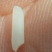 برنج شیرودی اعلا