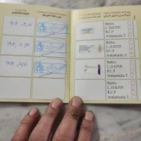 توله سگ ژرمن شپرد اصیل شناسنامه دار|سگ|الوند, |دیوار