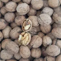 گردو|خوردنی و آشامیدنی|ماکو, |دیوار