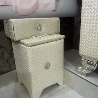 جادستمالی وسطل شیک