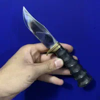 کارد با غلاف