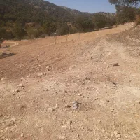 زمین کشاورزی