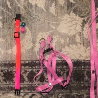 قلاده گردنی و کتفی توله سگ و گربه