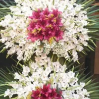 تاج گل تحریم|گل مصنوعی|قزوین, |دیوار