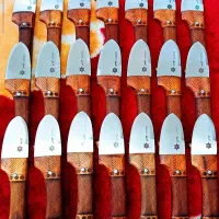 پوست کن وتیزی استیل|ظروف پختوپز|قم, شهرک سازمان آب|دیوار