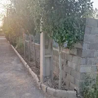 زمین-شهرکی-سند-تک-برگ