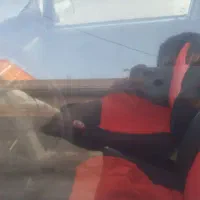 استان اردبیل شهرستان آصلاندوز|خودرو سواری و وانت|اصلاندوز, |دیوار