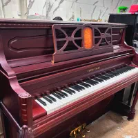 پیانو یانگ چانگ|پیانو، کیبورد، آکاردئون|کرج, شهر صنعتی|دیوار