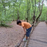 کیف پیدا شده در النگدره